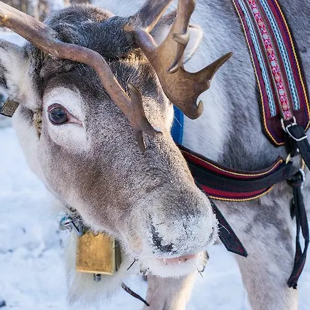 Ξενοδοχείο Snow Κέμι